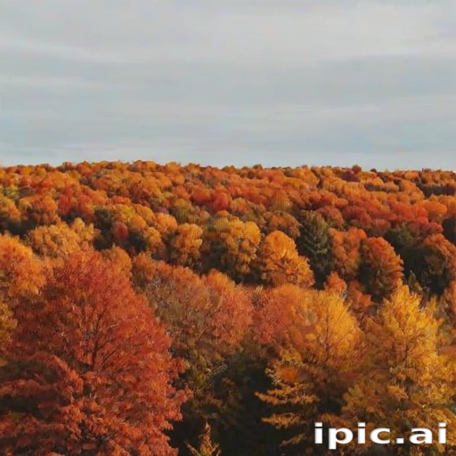 fall leaves aesthetic
