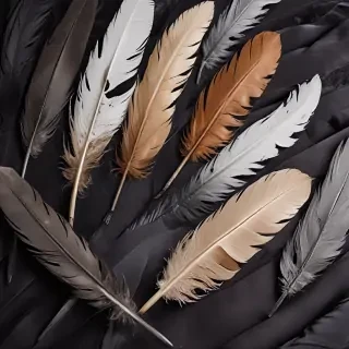 feather background
