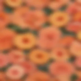 peachy backgrounds