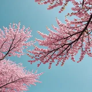 aesthetic spring wallpaper