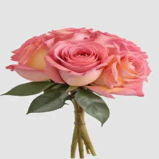 rose bouquet png