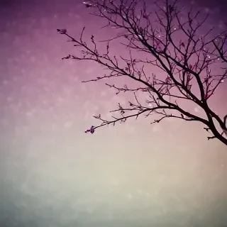 thought wallpaper