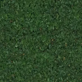 green christmas bg