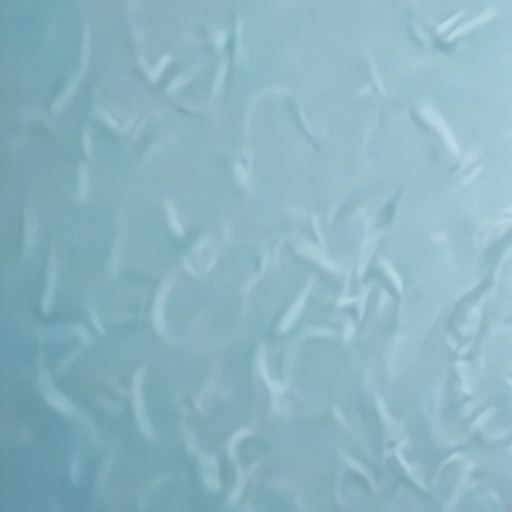 Abstract Textured Background Featuring Soft Blue Hues and Subtle Patterns