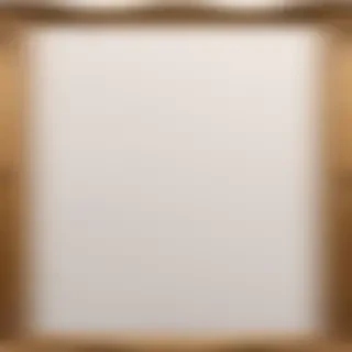 fancy picture frame png