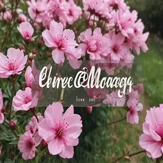 hello may images