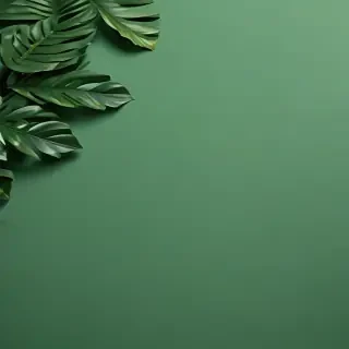 aesthetic green background