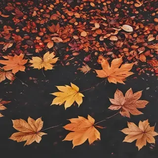fall wallpaper iphone aesthetic