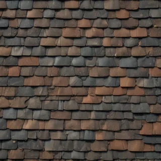 shingles images