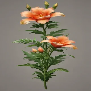 png border flower