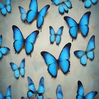 blue butterfly background