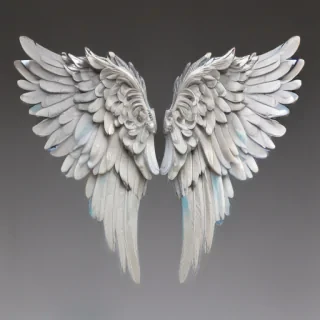 png angel wings