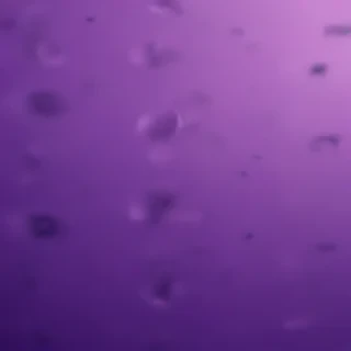 pretty purple backgrounds
