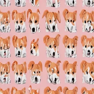 aesthetic dog wallpaper