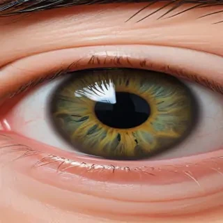 eye ball png