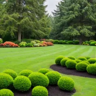 landscaping background