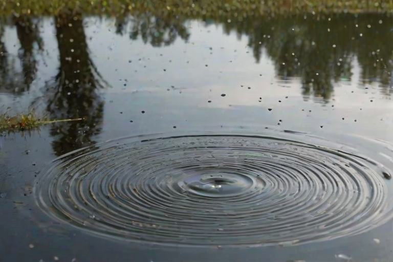 Sharp close-up of raindrops hitting the surface of a quiet pond, tiny ripples forming concentric circles, with soft reflections of overhanging trees and distant birds flying overhead.
