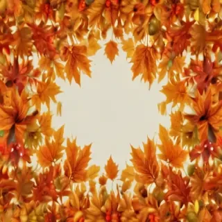 fall leaves png transparent
