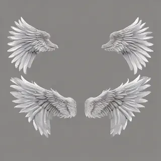 wings transparent background