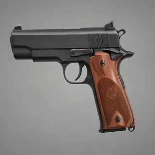 png gun