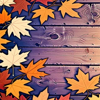 fall iphone backgrounds