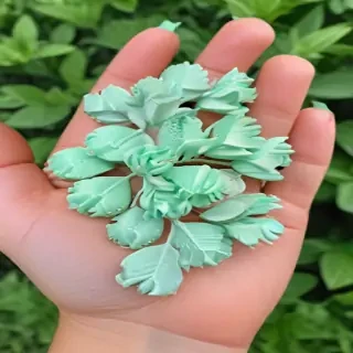 aesthetic mint green