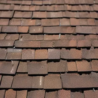 picture of shingles