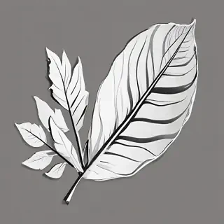 black and white leaf clip art