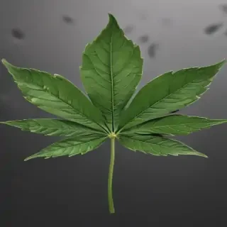 weed leaf png