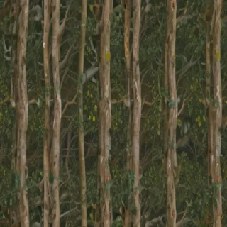 tree background