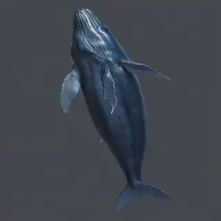 blue whale png