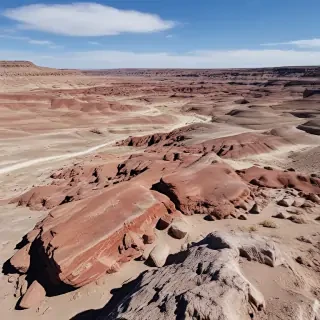 petrified forest
