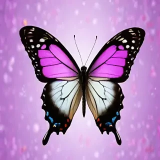 butterfly photos wallpaper