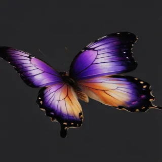 butterfly clipart transparent background