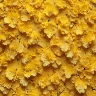 yellow aesthetic background