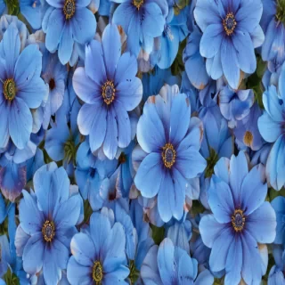 background blue flower