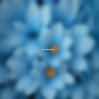background flower blue