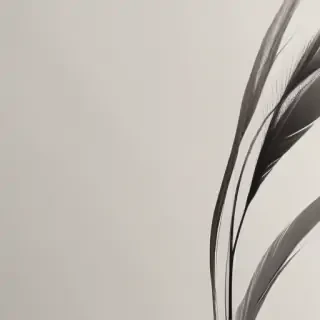 minimalist neutral wallpaper iphone