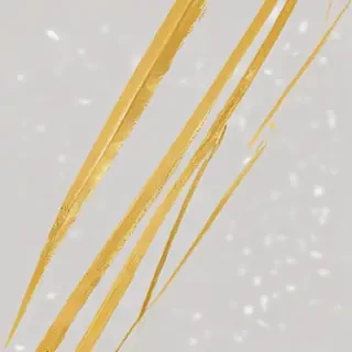 golden line png