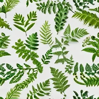 greenery png