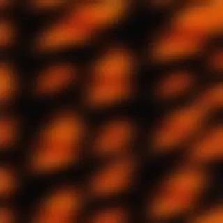fire image background