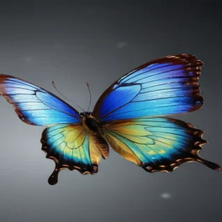 butterfly no background