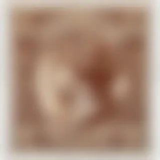 postage stamp png