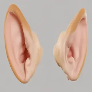 ears png