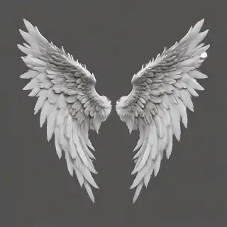 angel wings transparent background