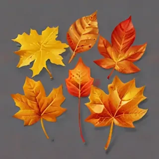 fall leaves png transparent