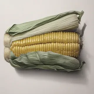 corn drawing