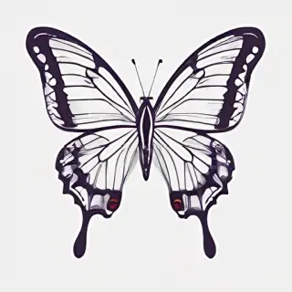 butterfly png outline