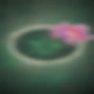 healing wallpaper