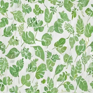background white and green